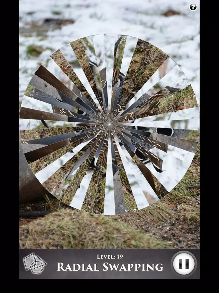 تصاویر Hidden Scenes - Winter Birding iPad 