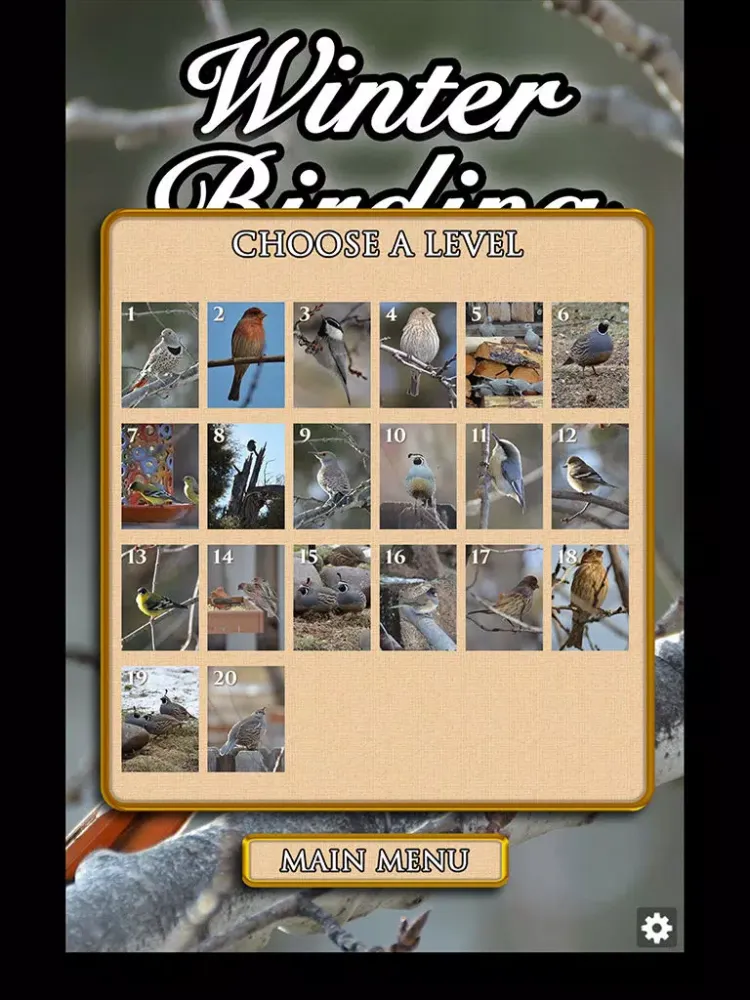 تصاویر Hidden Scenes - Winter Birding iPad 