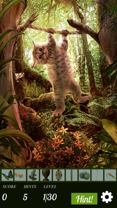 Hidden Object - Cats Island 스크린샷