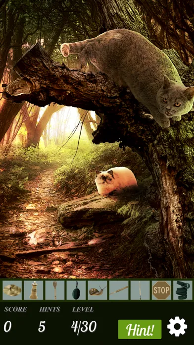 Hidden Object - Cats Island 스크린샷
