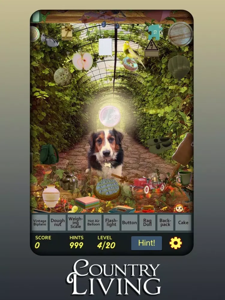 Ảnh chụp màn hình của Hidden Object - Country Living iPad 