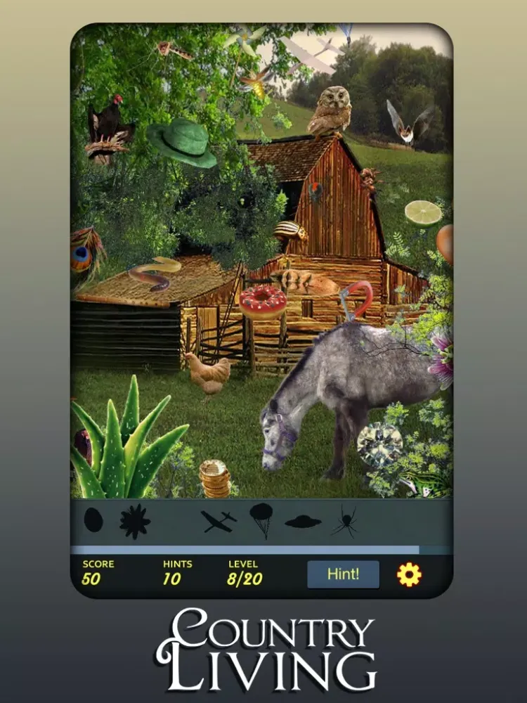 Ảnh chụp màn hình của Hidden Object - Country Living iPad 