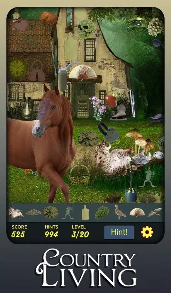Ảnh chụp màn hình của Hidden Object - Country Living