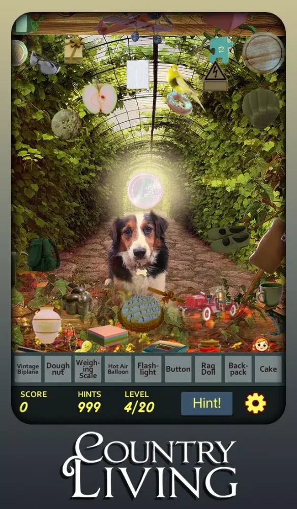 Ảnh chụp màn hình của Hidden Object - Country Living