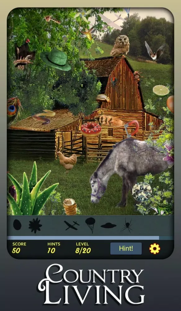 Ảnh chụp màn hình của Hidden Object - Country Living
