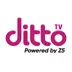 dittoTV dittoTV
