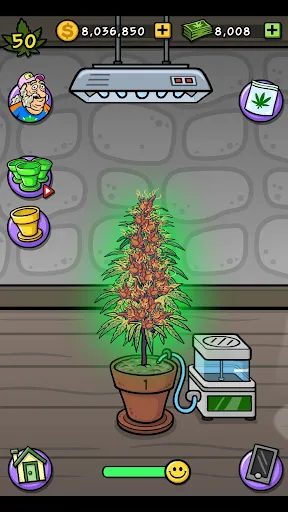 Bud Farm Grass Roots Screenshots