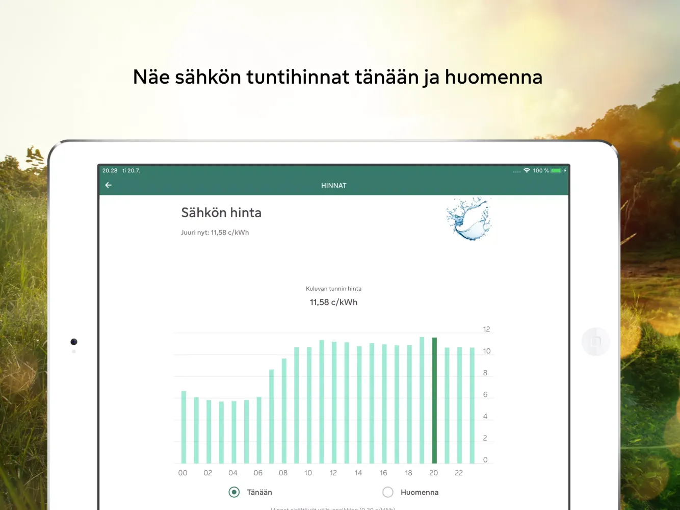 Oma Fortum স্ক্রিনশট