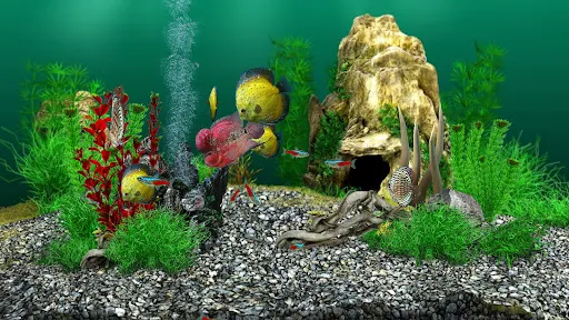 AquaLife 3D Screenshots