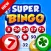 Super Bingo HD