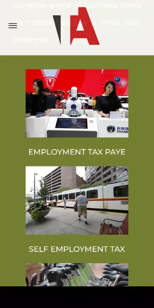 TAX ACCOUNTANT 스크린샷