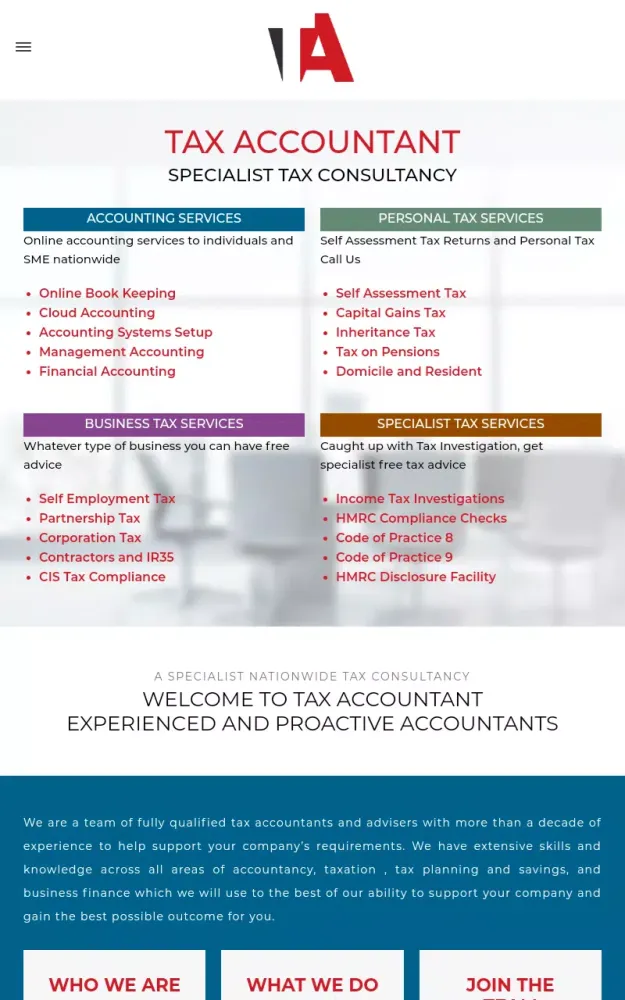 TAX ACCOUNTANT 스크린샷