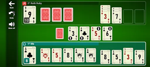 Spite & Malice Screenshots