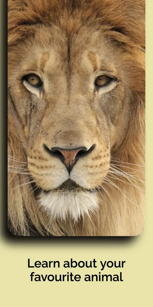 Natural History Museum سکرین شاٹس