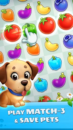 Pet Savers: Travel to Find & R Screenshots