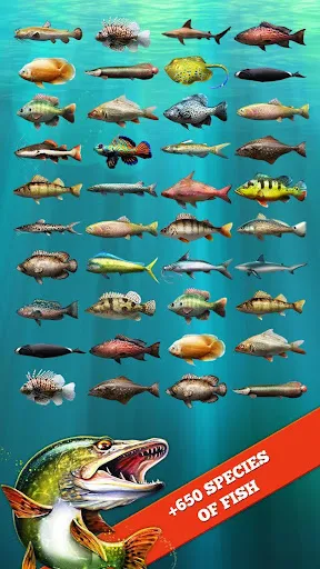 ภาพหน้าจอของ Let's Fish: Fishing Simulator
