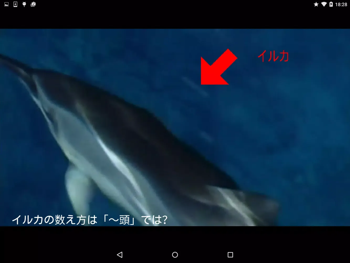 viaPlatz Viewer 3.0 Screenshots
