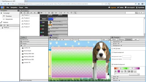 SignagePlayer Android應用截圖