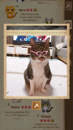 Secret Cat Forest Screenshots