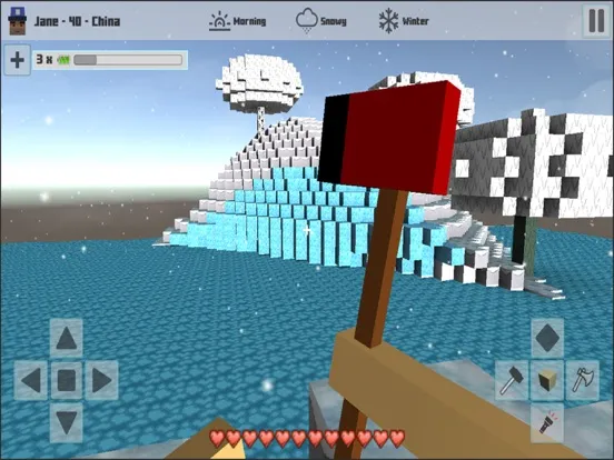 Cubes Craft Winter iPad  سکرین شاٹس