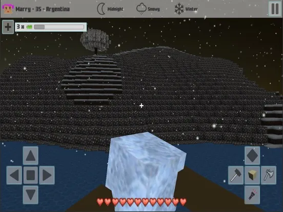 Cubes Craft Winter iPad  سکرین شاٹس