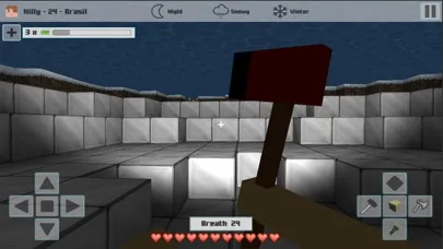 Cubes Craft Winter سکرین شاٹس