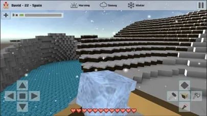 Cubes Craft Winter سکرین شاٹس