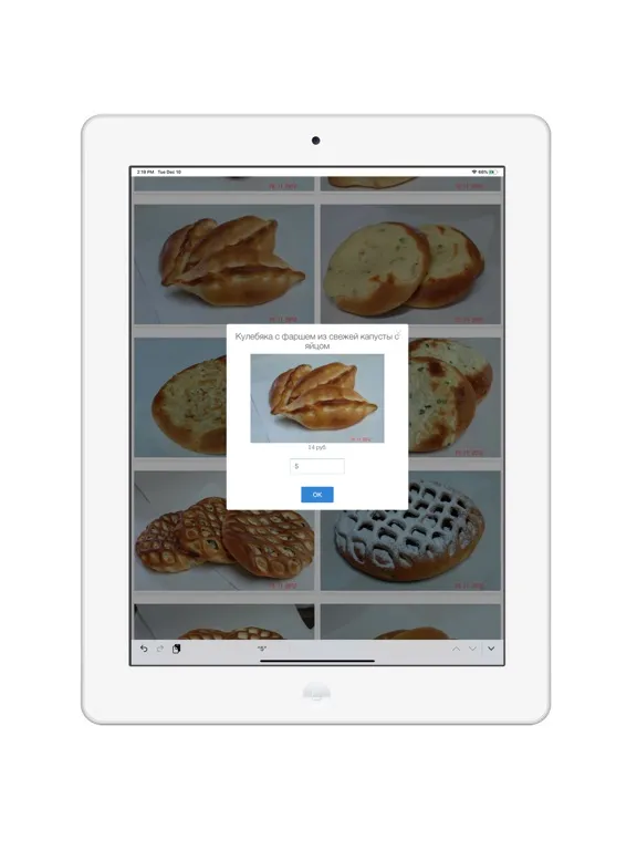 Akitorg Заказ iPad  스크린샷