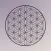 Alchemy Yoga and Reiki