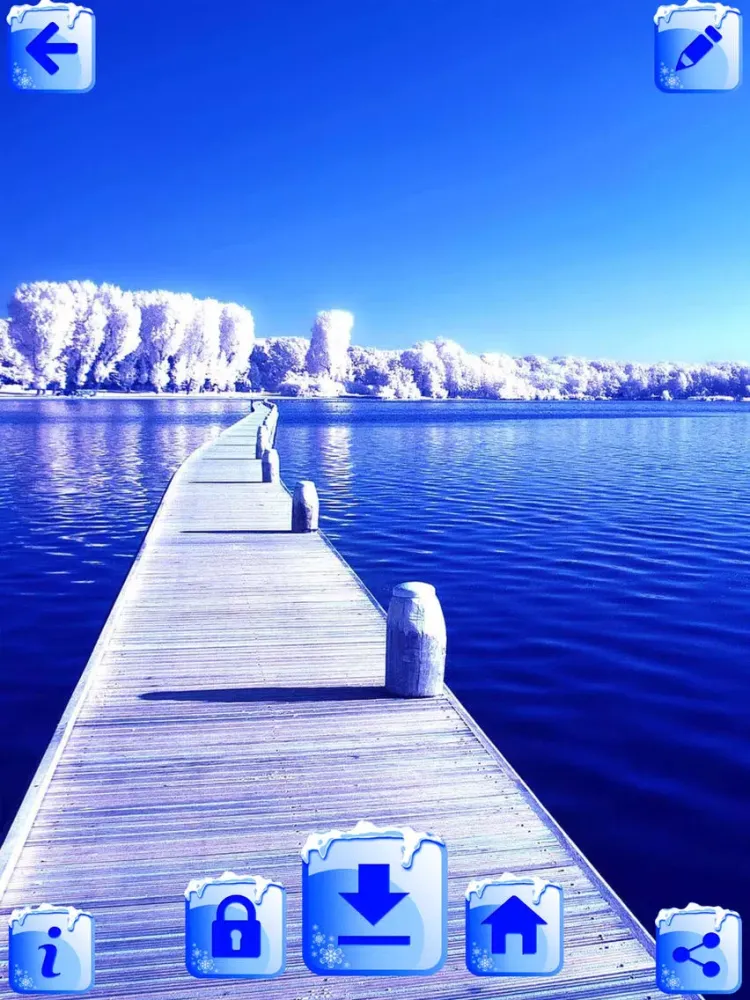 Winter Wallpapers – Lovely Snowfall Backgrounds iPad  Screenshots