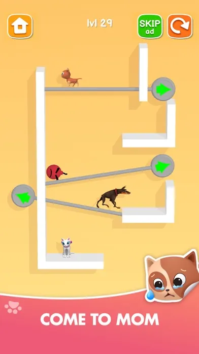 تصاویر Kitten Rescue - Pin Pull