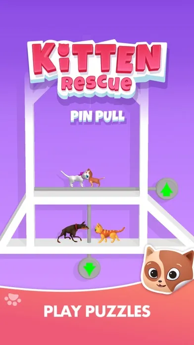 تصاویر Kitten Rescue - Pin Pull