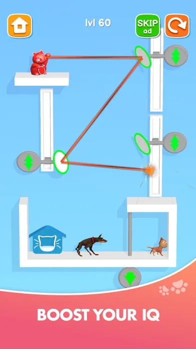 تصاویر Kitten Rescue - Pin Pull