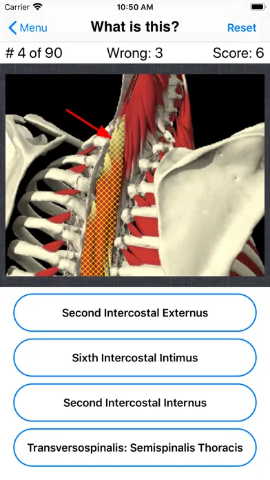 Tangkapan layar Anatomy Spine Quiz