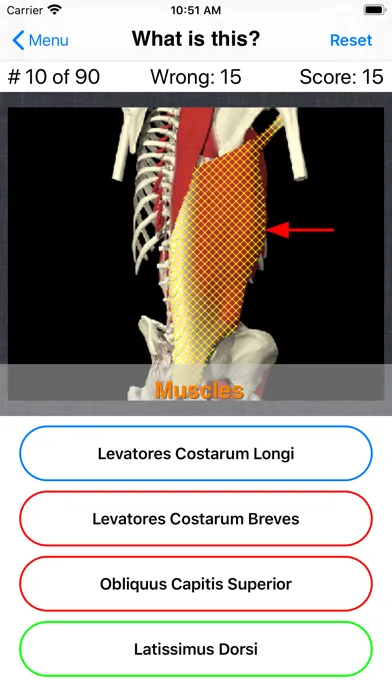 Tangkapan layar Anatomy Spine Quiz