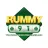 Rummy 91