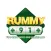 Rummy 91
