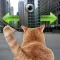 Cat In City Go Simulator