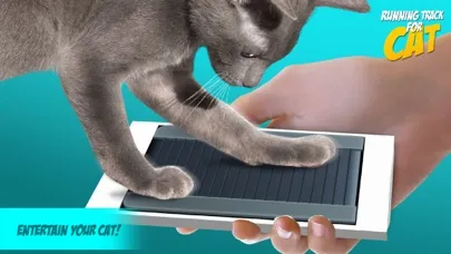 Running Track for Cat Screenshots