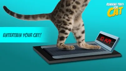 Running Track for Cat Screenshots