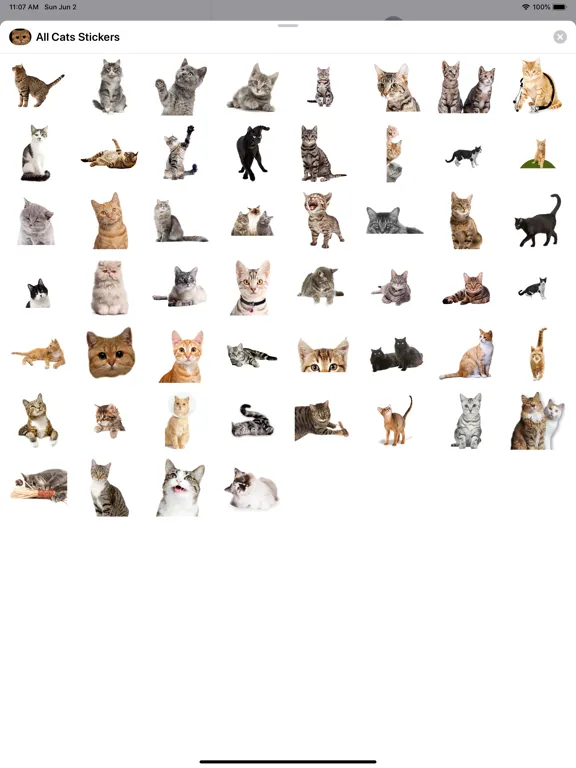 Capturas de tela do All Cats Stickers iPad 