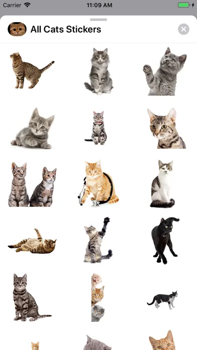 Capturas de tela do All Cats Stickers