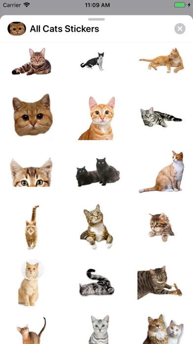 Capturas de tela do All Cats Stickers