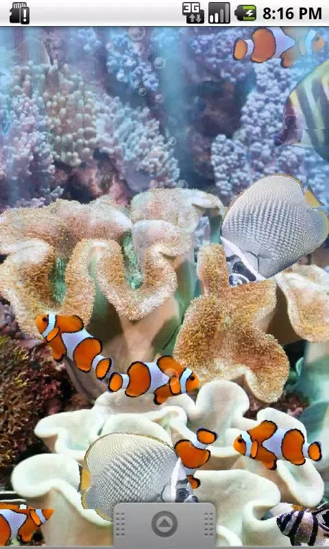 T�h�e� �r�e�a�l� �a�q�u�a�r�i�u�m� �-� �f�r�e�e� 스크린샷