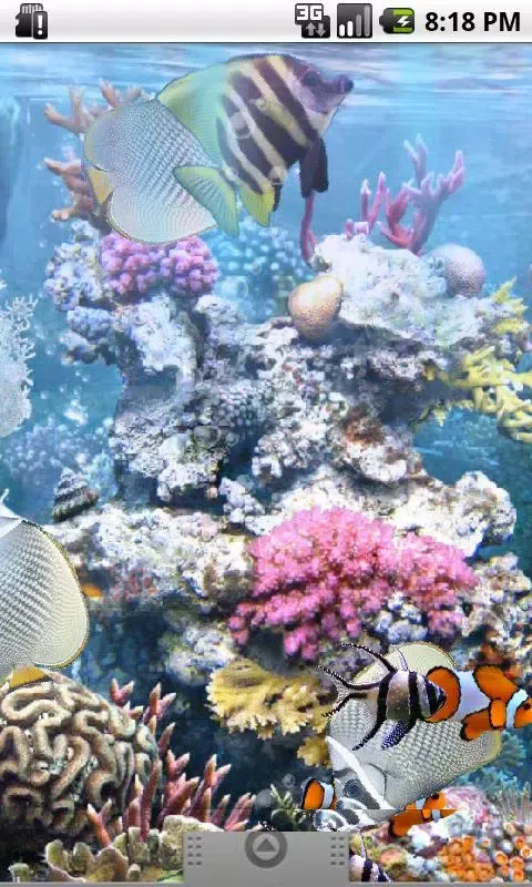 T�h�e� �r�e�a�l� �a�q�u�a�r�i�u�m� �-� �f�r�e�e� 스크린샷