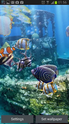 The real aquarium - LWP سکرین شاٹس