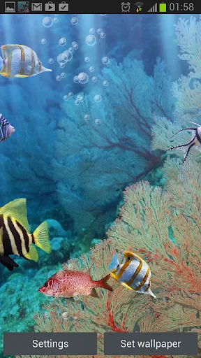 The real aquarium - LWP سکرین شاٹس