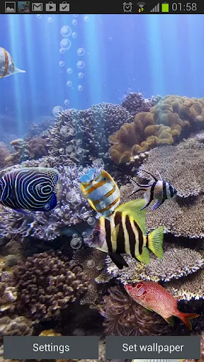 The real aquarium - LWP سکرین شاٹس