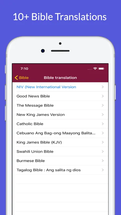 Tangkapan skrin Bible (Message, NIV, NKJV +)