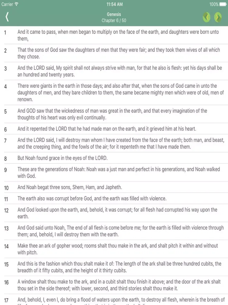 Capturas de tela do KJV BIBLE & DAILY DEVOTIONS iPad 